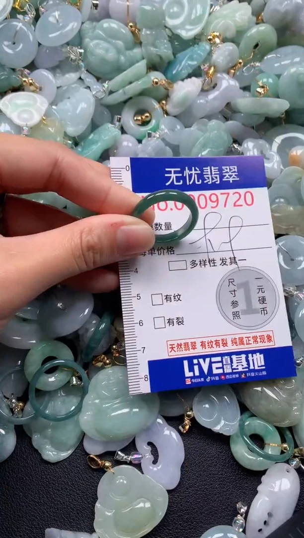 颈饰未镶嵌翡翠9720