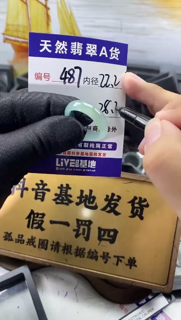 未镶嵌戒圈翡翠487