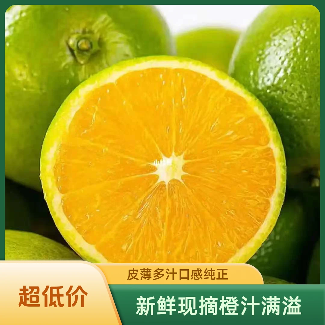 云南哀牢山冰糖橙绿皮应季新鲜水果清甜蜜多汁
