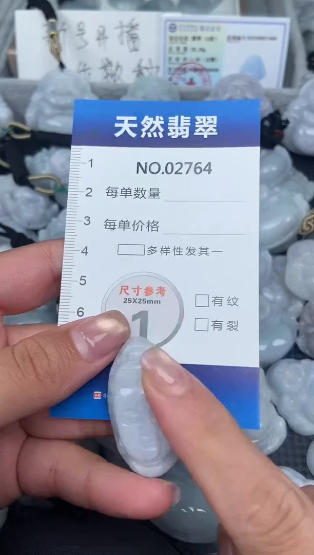 颈饰未镶嵌翡翠纯天然A货翡翠2764