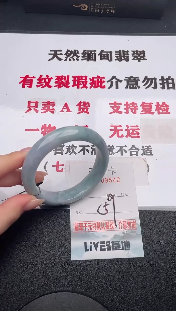 未镶嵌手镯翡翠42