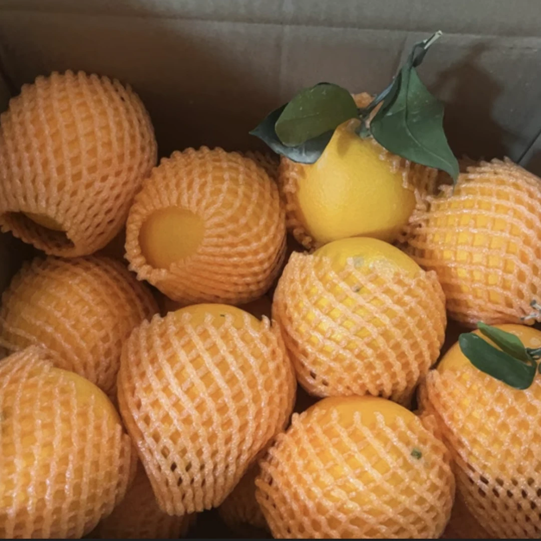 红橙+脐橙=果子实重9斤（含箱10斤）