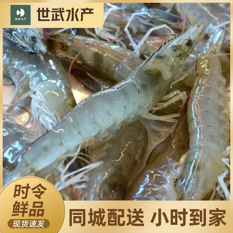 【同城到家】活大虾（斤）