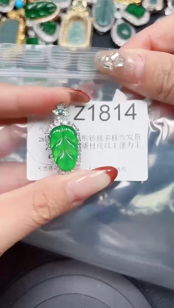 【闪购商品】翡翠颈饰未镶嵌送皮绳1814