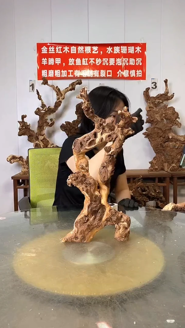 香榧木金丝红木  羊蹄甲