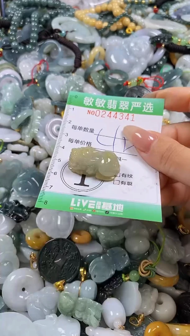 翡翠未镶嵌颈饰闪购0244341