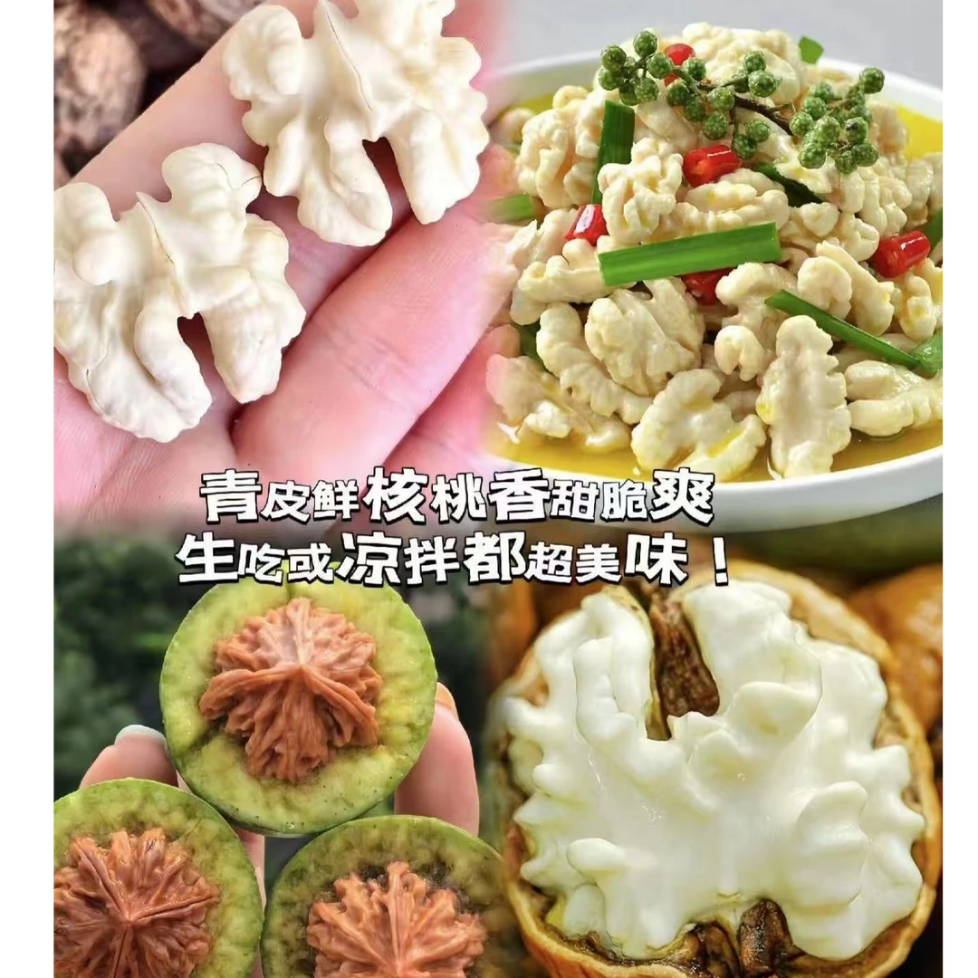 四川大凉山老树新鲜湿核桃现摘现发去青皮美味孕妇水果
