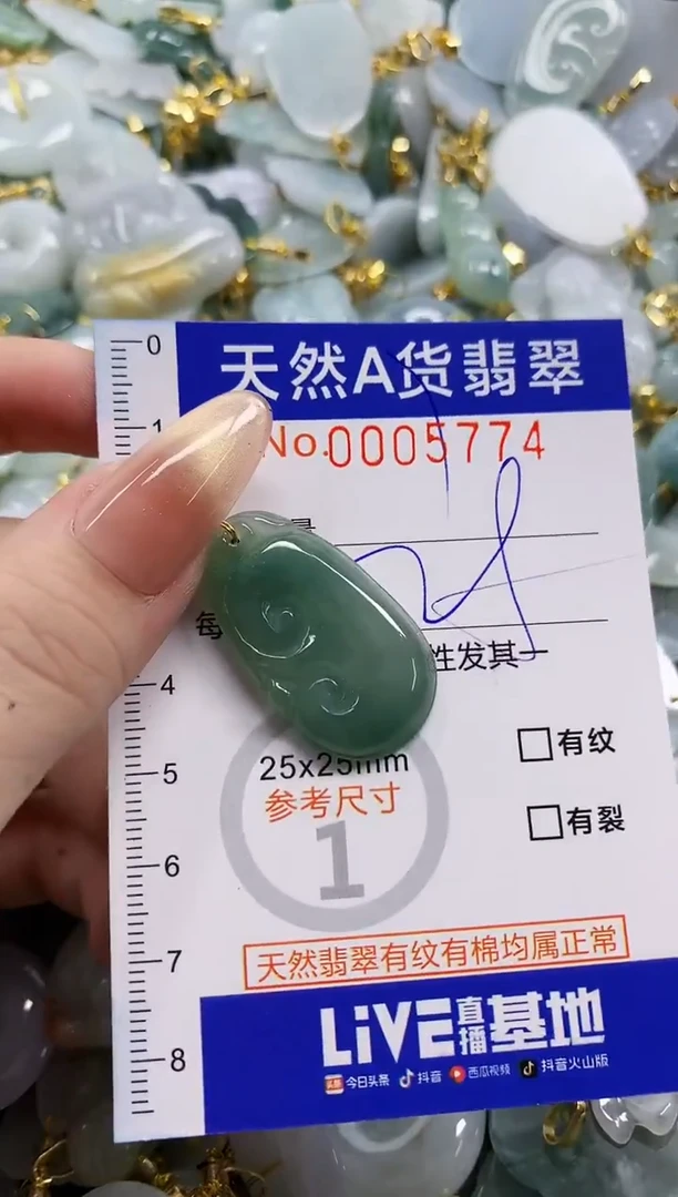 颈饰未镶嵌翡翠天然A货翡翠