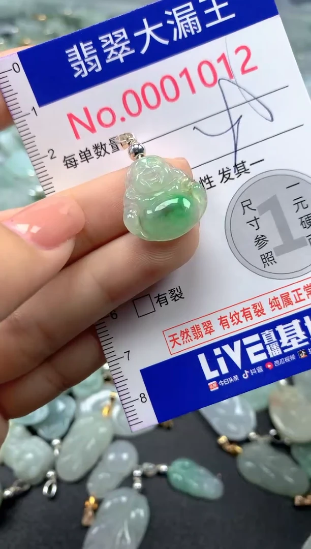 颈饰未镶嵌翡翠1012