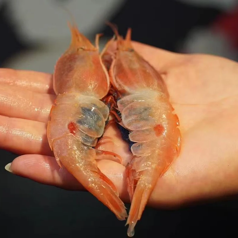 【渔夫海鲜】国产牡丹虾 （仙桃虾）超低温甜虾 船冻刺身 500g