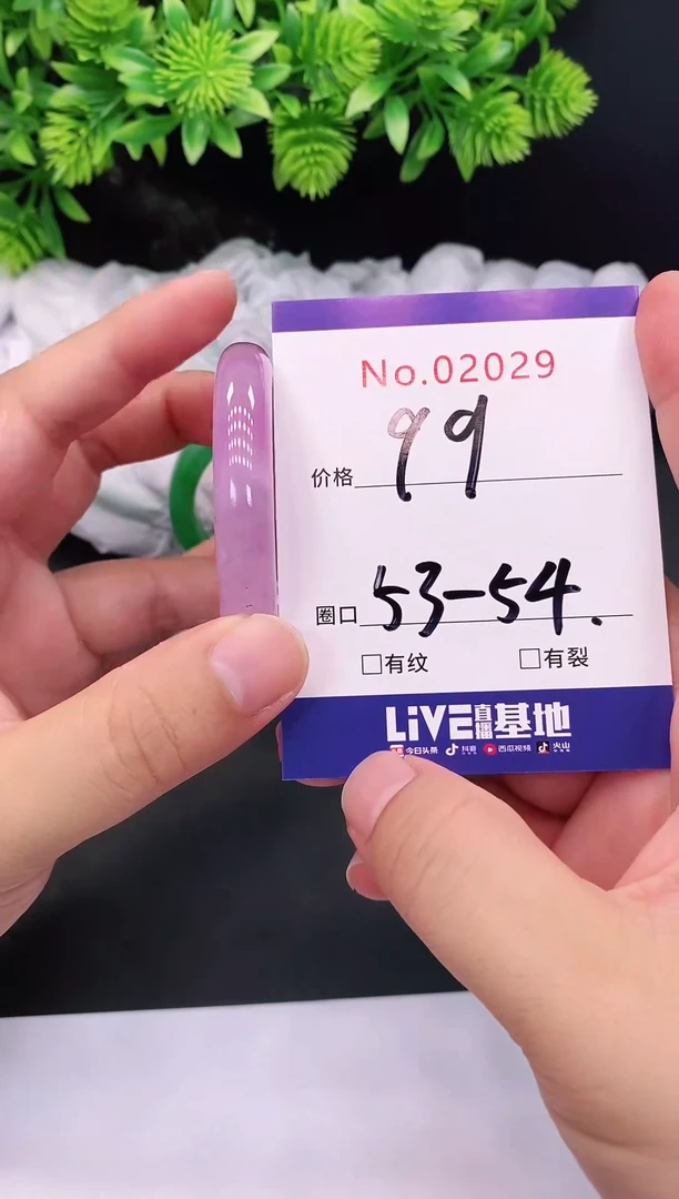 未镶嵌手镯翡翠2029