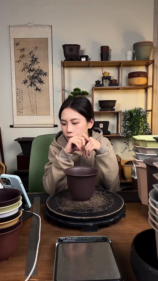 10只15口径金钟紫檀色