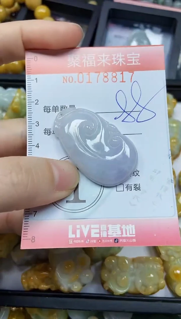 翡翠未镶嵌颈饰闪购0178817