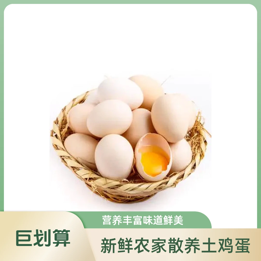 青峰岭李鲜生果林土鸡蛋散养老母鸡土鸡走地鸡