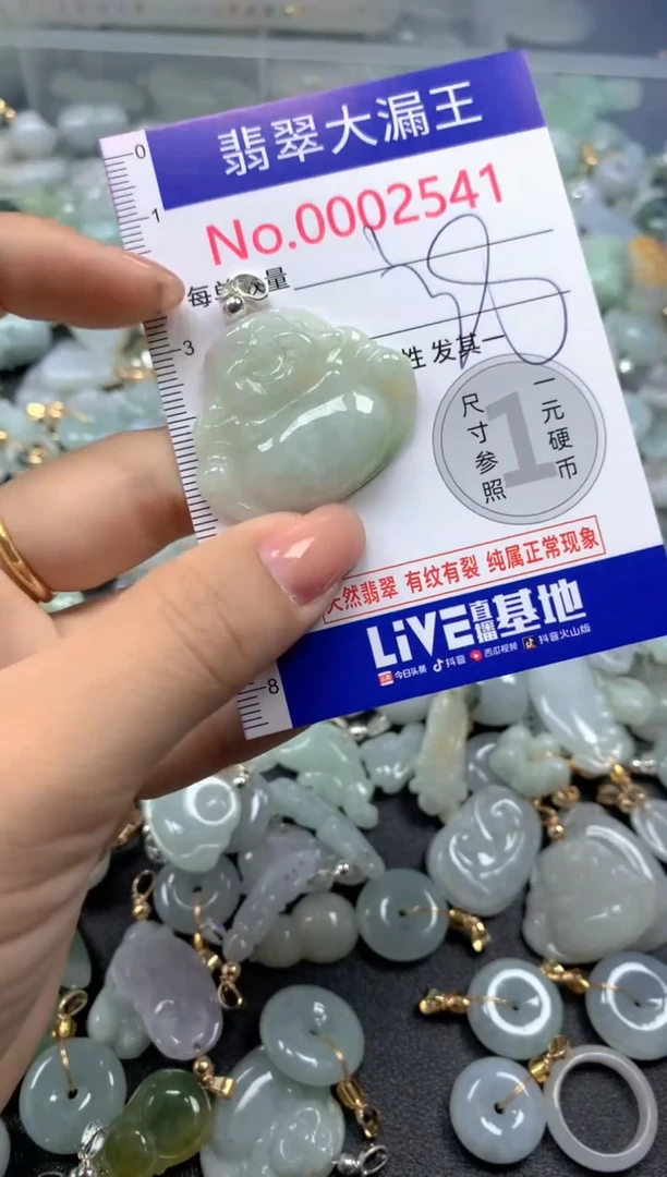 颈饰未镶嵌翡翠2541