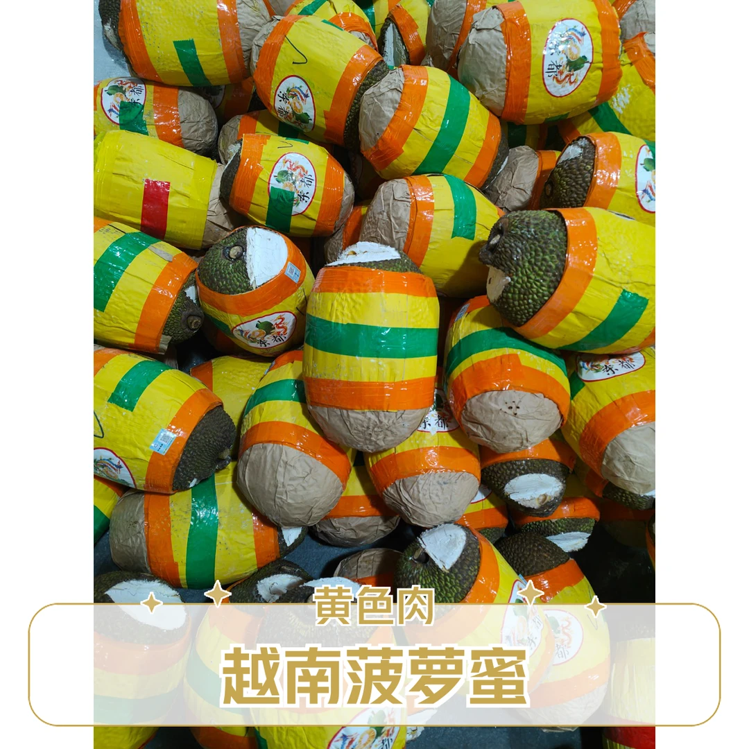 (黄色肉)越南菠萝蜜按规格整果7-12斤越南