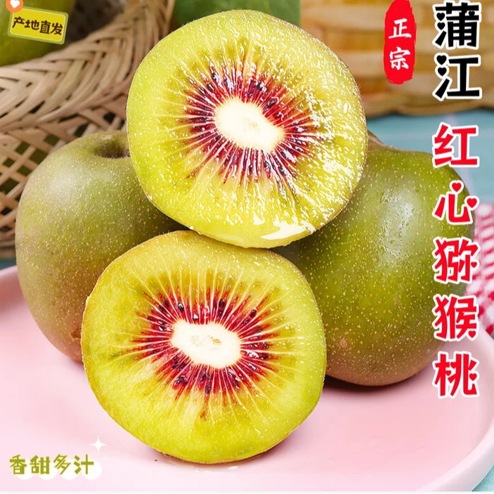 国庆中秋福利特价丨正宗蒲江红心猕猴桃礼盒装4.5斤新鲜水果 特惠特价