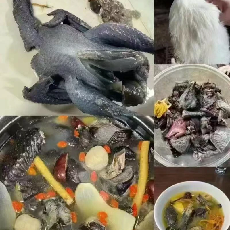 散养乌鸡肉质鲜嫩新鲜现杀顺丰包邮