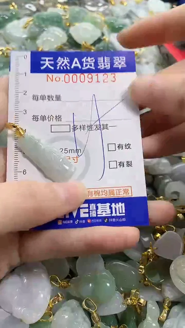 颈饰未镶嵌翡翠天然A货翡翠