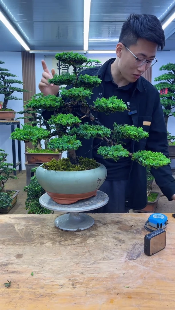 无花朵00000000000000000