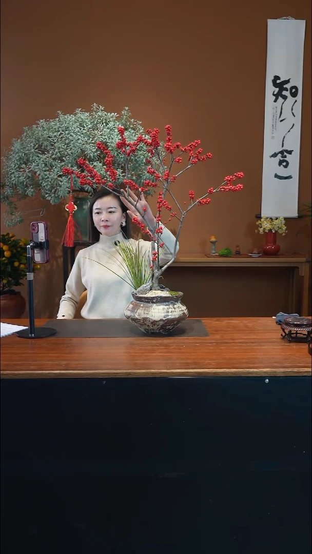 全部花朵冬青盆景盆景