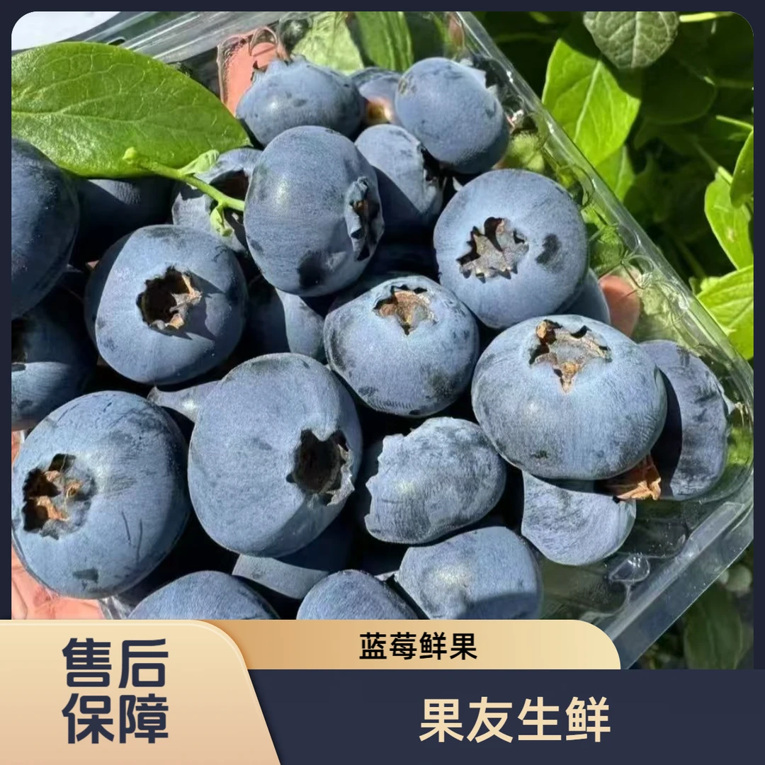 【进口蓝莓鲜果】22mm+ 4盒/份 净果1斤 太原晋中吕梁忻州拍