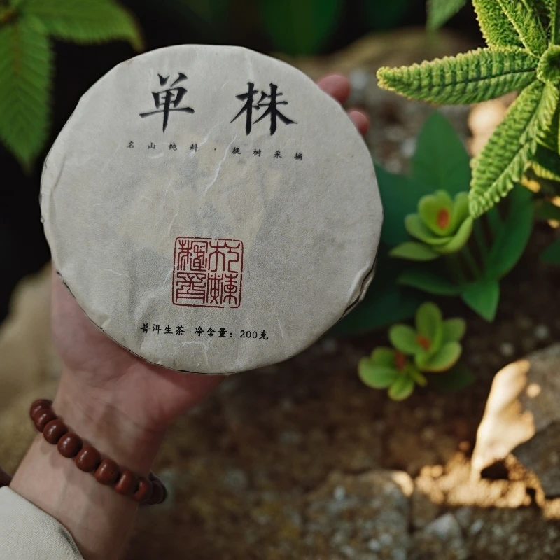 【236号】 2024年无量山 单株 挑采 生茶 200克饼 9-22