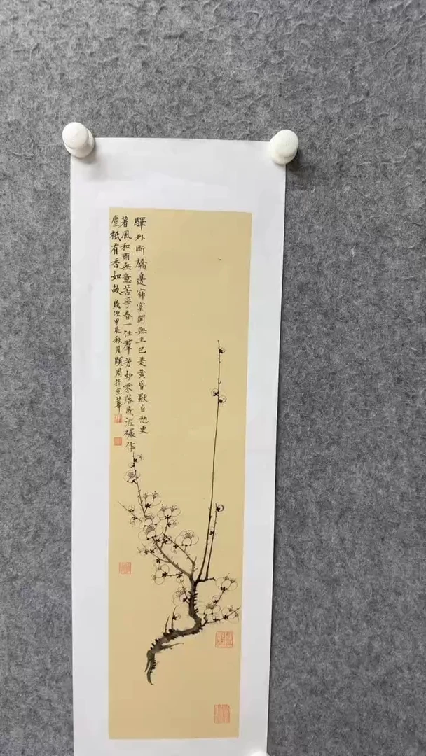 国画写意画花鸟画手绘