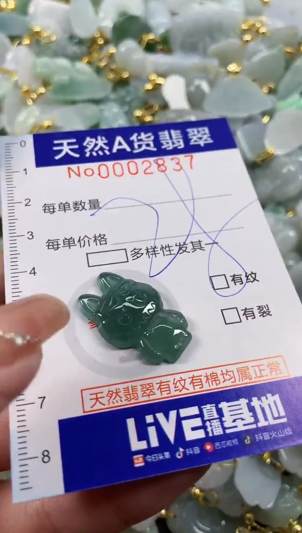 颈饰未镶嵌翡翠天然A货翡翠