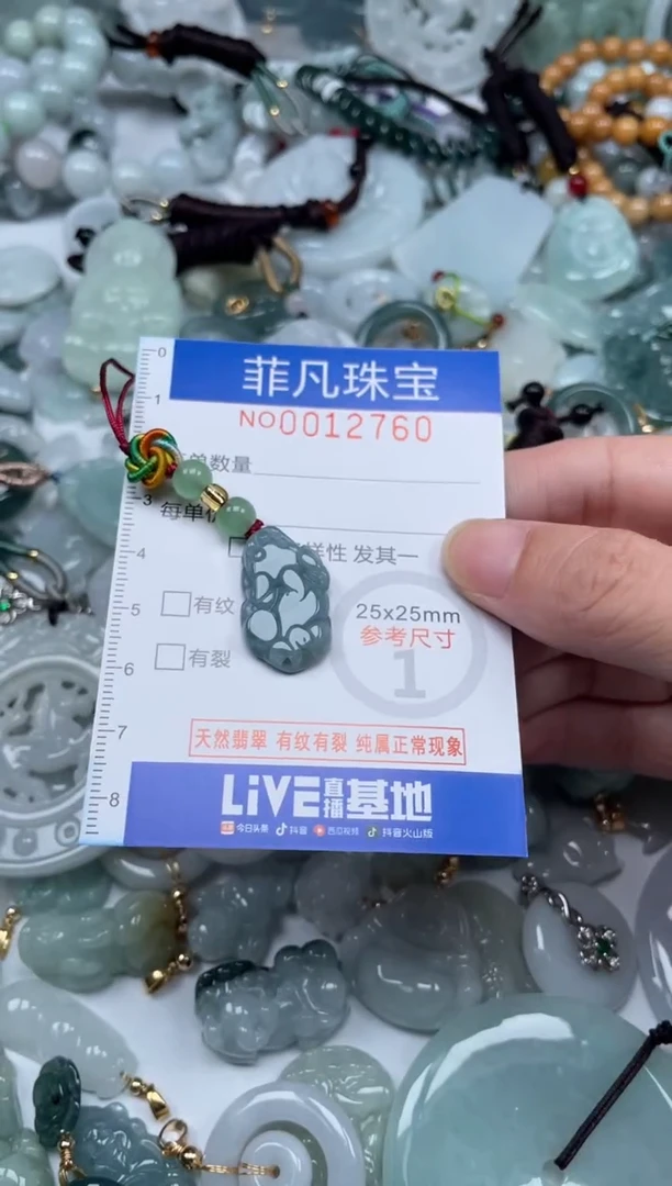 颈饰未镶嵌翡翠12760