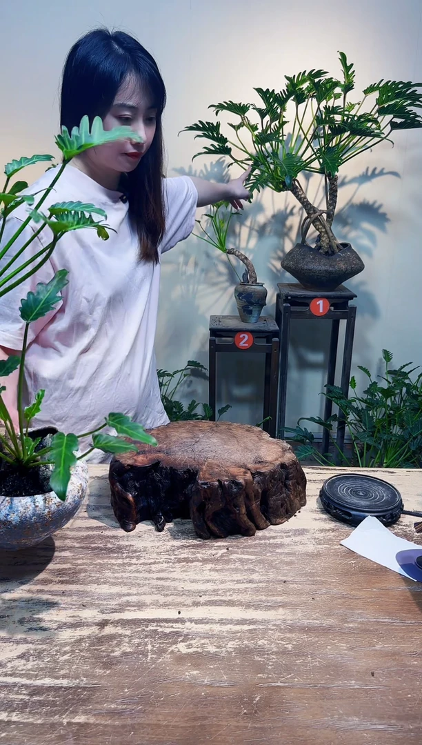 无花朵爱**溢后面1号放漏688