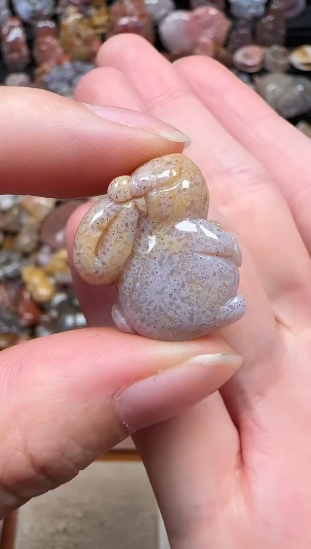 颈饰未镶嵌硅化珊瑚（珊瑚玉）268