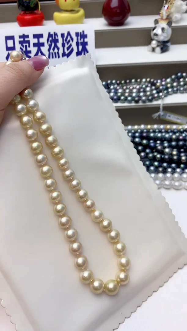 颈饰未镶嵌海水珍珠A84