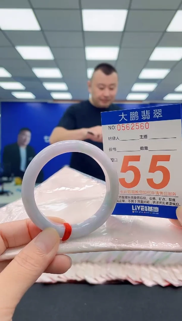 未镶嵌手镯翡翠AAAAAAAAA