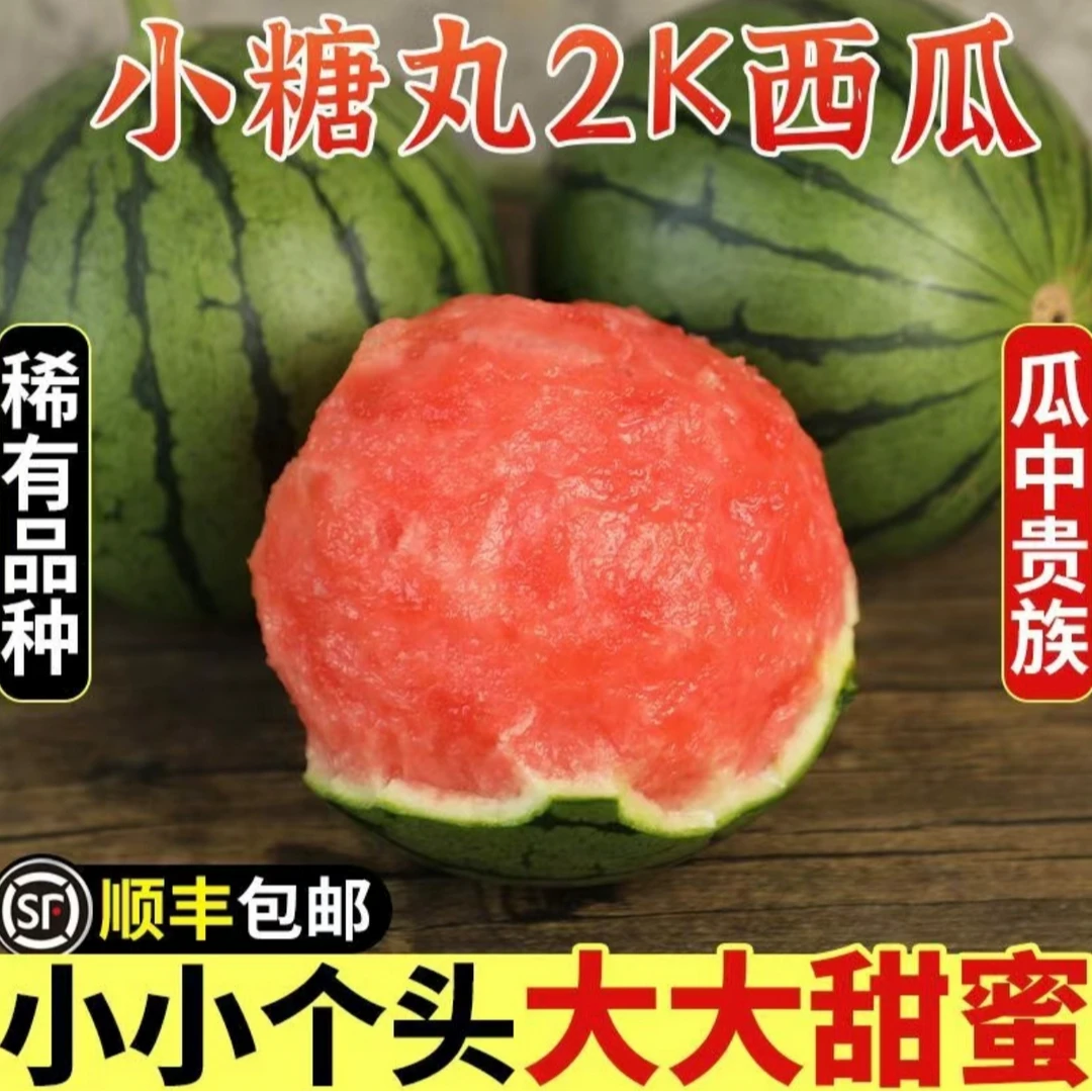 正宗2K小糖丸西瓜薄皮新鲜水果/清甜小西瓜（顺丰包邮）