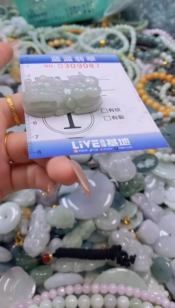 翡翠未镶嵌颈饰闪购0309087