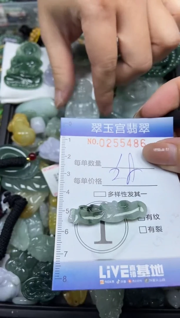 颈饰未镶嵌翡翠闪购C0255486