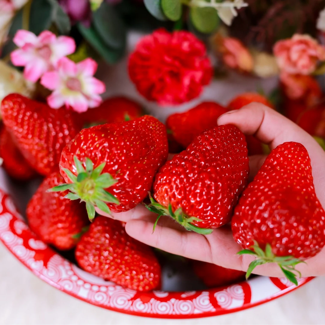 99草莓 鸡蛋草莓 大棚头茬草莓 辽宁·深井 京东|顺丰 fruit feel®