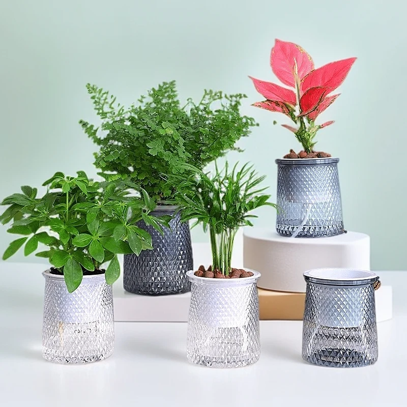 水培花盆塑料简约自动吸水家用桌面白掌绿萝花卉小花盆北欧轻奢风