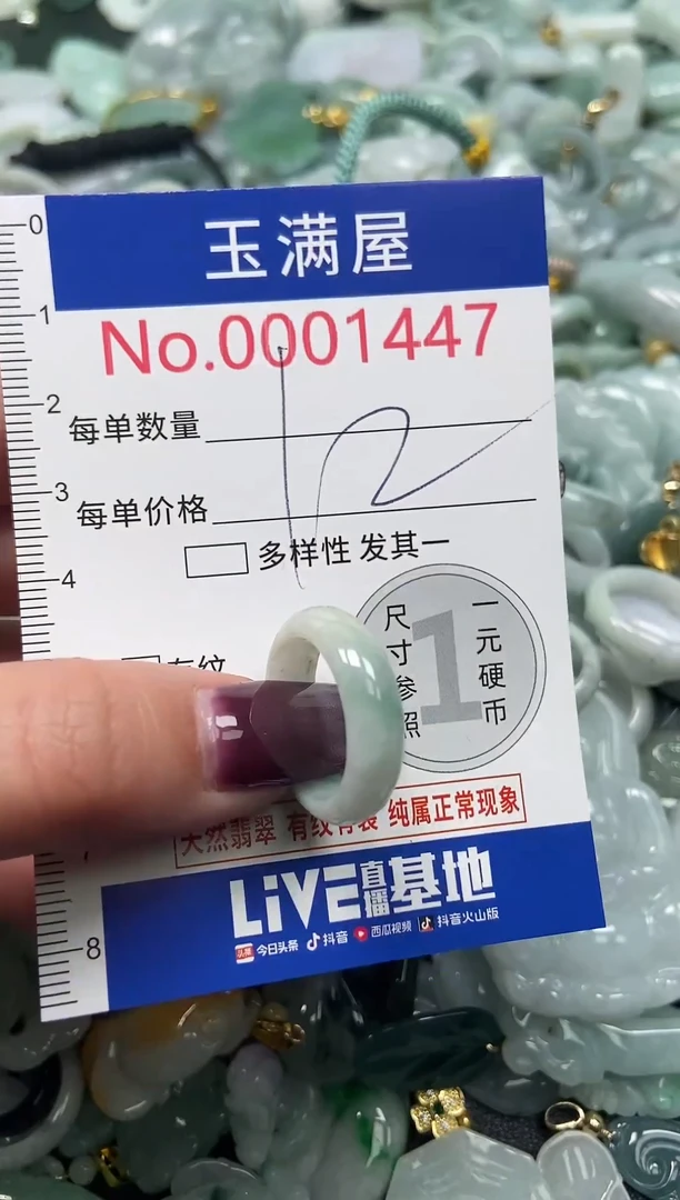 颈饰未镶嵌翡翠1447