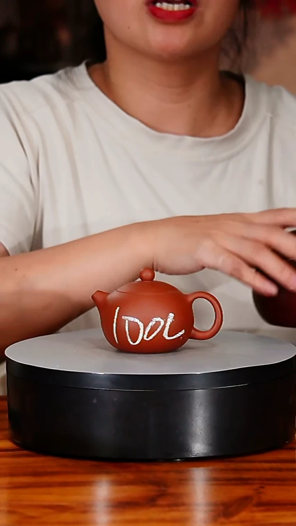 宜兴原矿紫砂壶茶壶100C