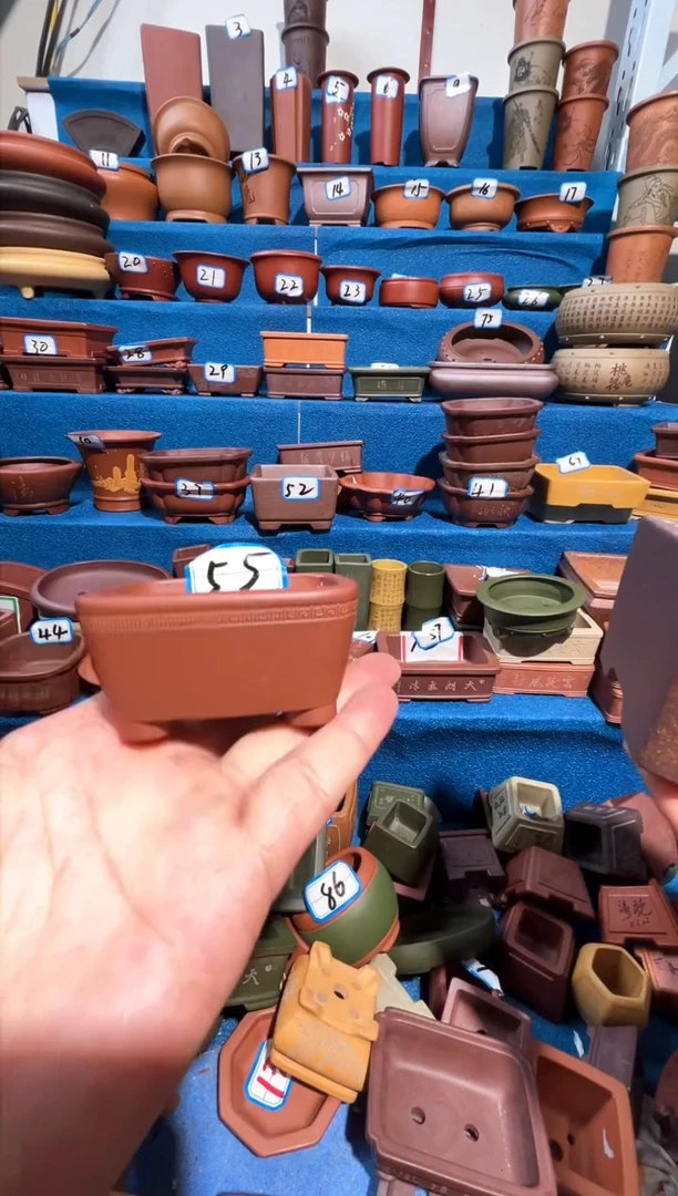 【闪购商品】紫砂紫砂花盆