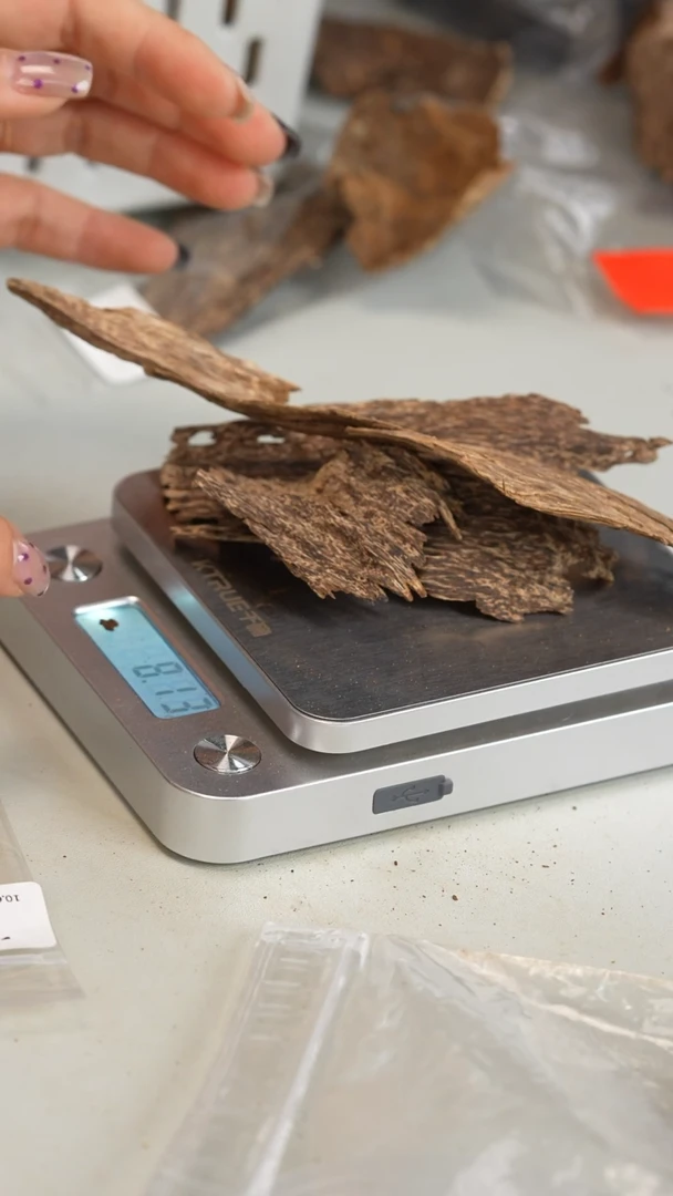 沉香沉香碎屑弥*海南料 8.13g