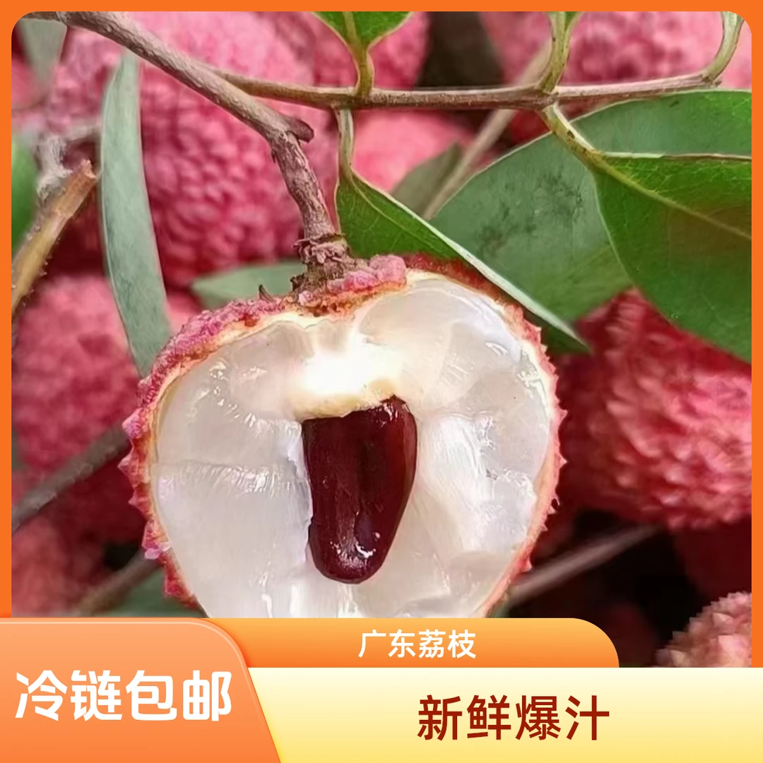 省外空运包邮广东省冷链当季新鲜现采桂味荔枝多汁清甜产地直发水