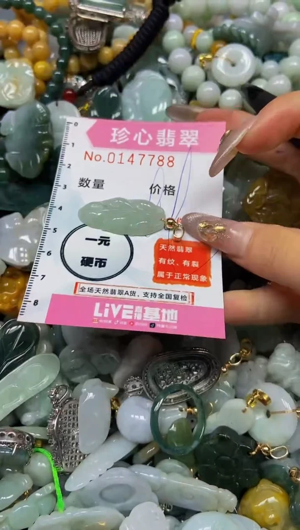 【闪购商品】翡翠颈饰未镶嵌闪购0147788