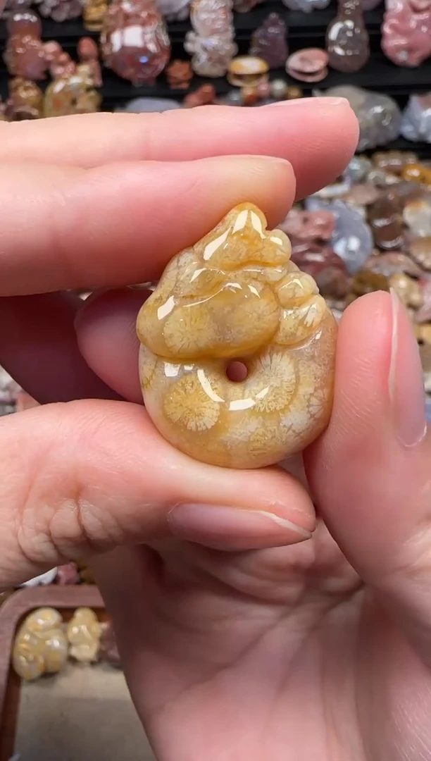 颈饰未镶嵌硅化珊瑚（珊瑚玉）161