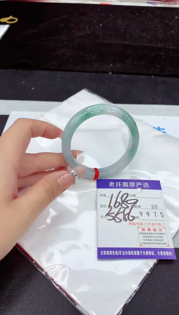 未镶嵌手镯翡翠11