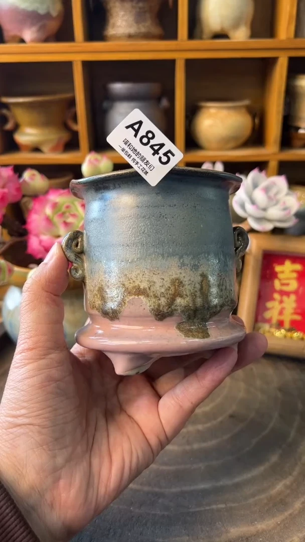 845 内口7.5【多肉花盆多肉盆】