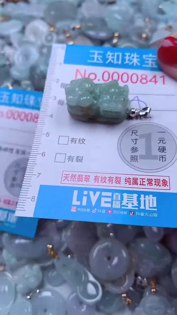 吊坠(不含链)未镶嵌翡翠841