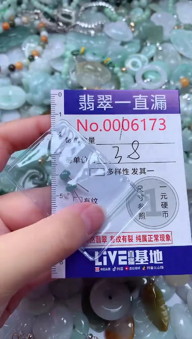 翡翠未镶嵌吊坠(不含链)6173